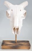 MOUNTED RAM SKULL WITH HORNS