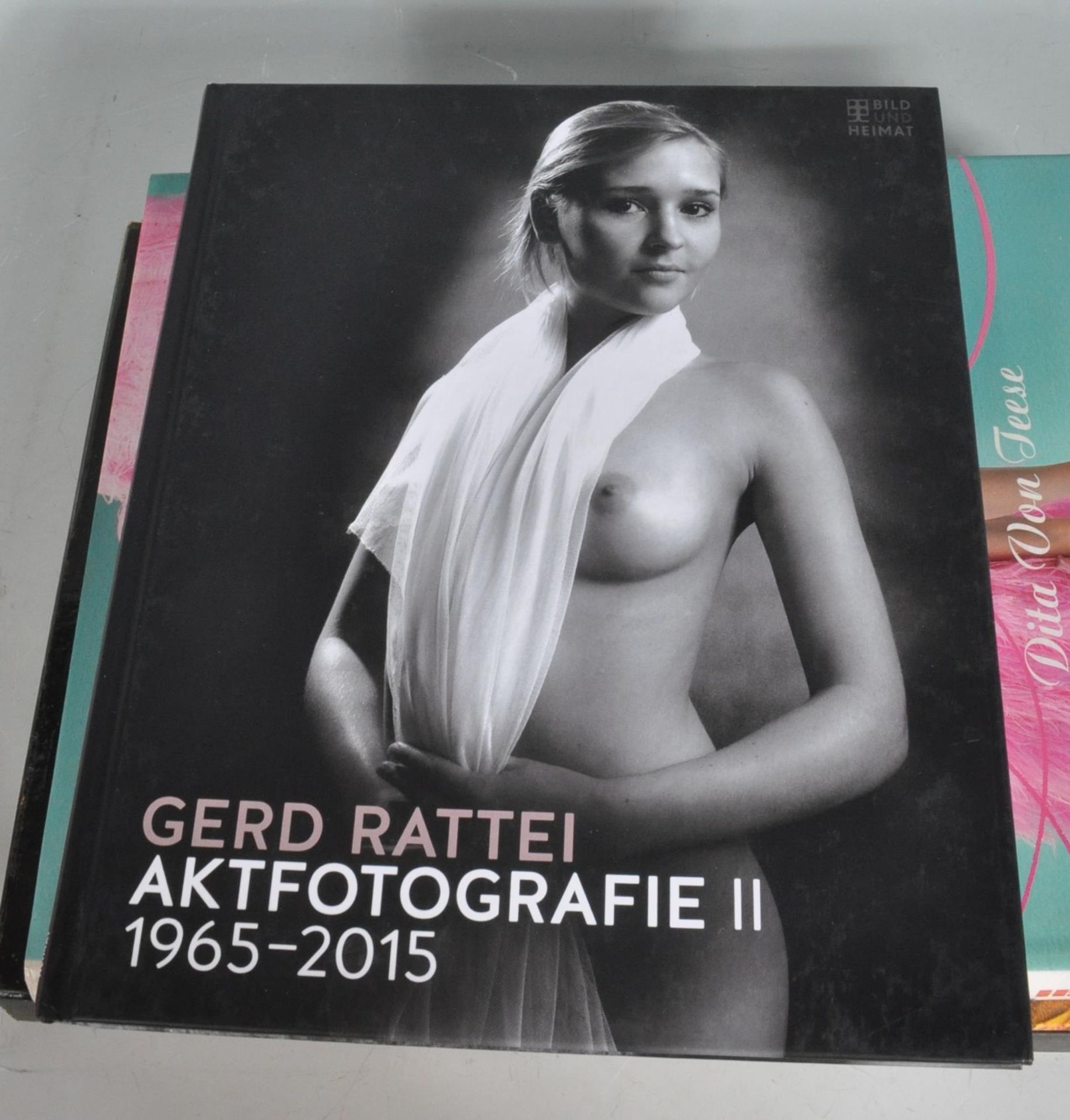 SIX HARDBACK EROTIC AND PORNOGRAPHY BOOKS - Image 12 of 16