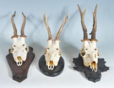 THREE VINTAGE 20TH CENTURY ROE DEER ANTLERS