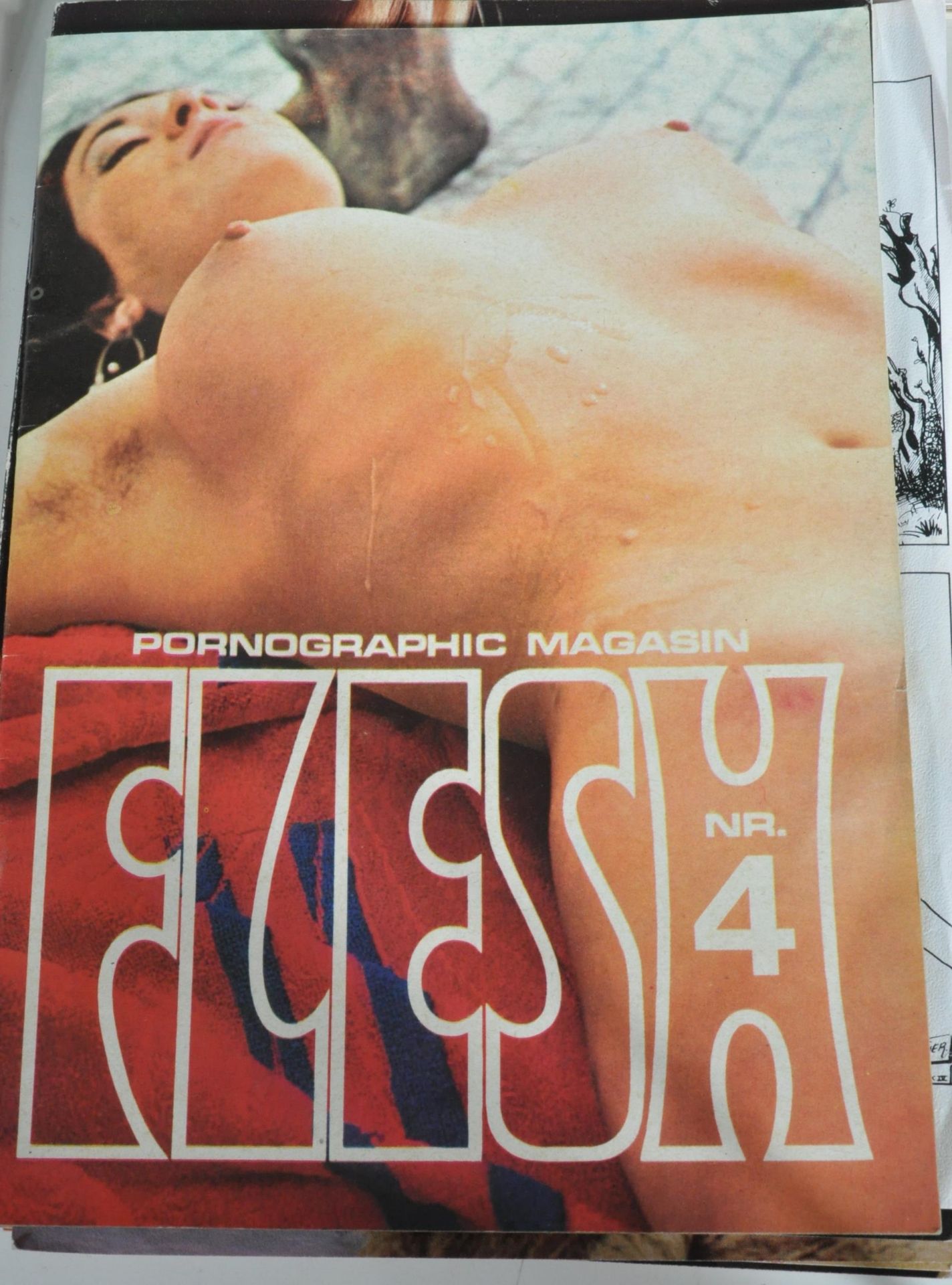 COLLECTION OF EUROPEAN EROTICA MAGAZINES - Bild 7 aus 12