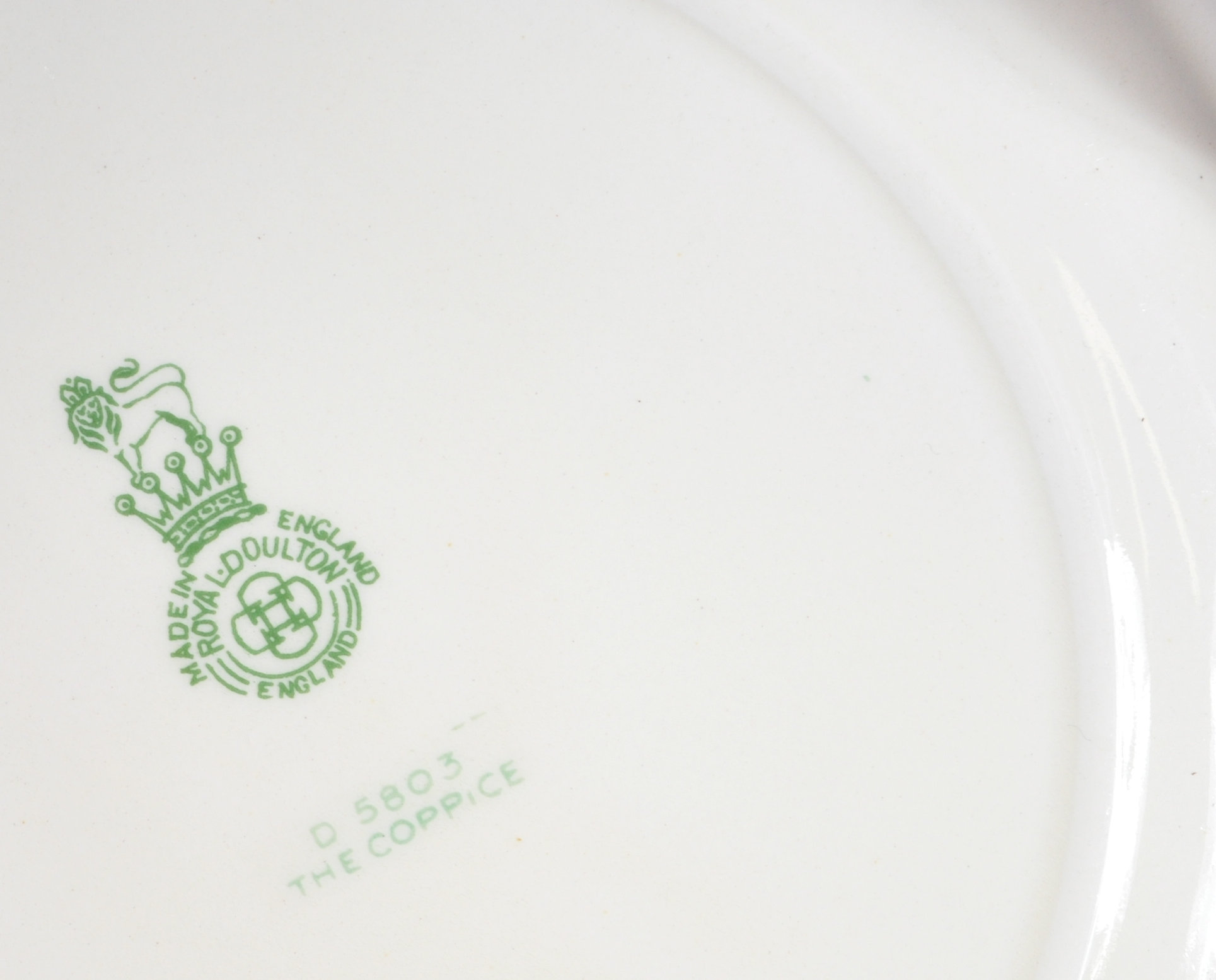 ROYAL DOULTON COPPICE PATTERN DINNER SERVICE - Image 9 of 11