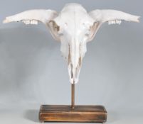 MOUNTED SHEEPS SKULL