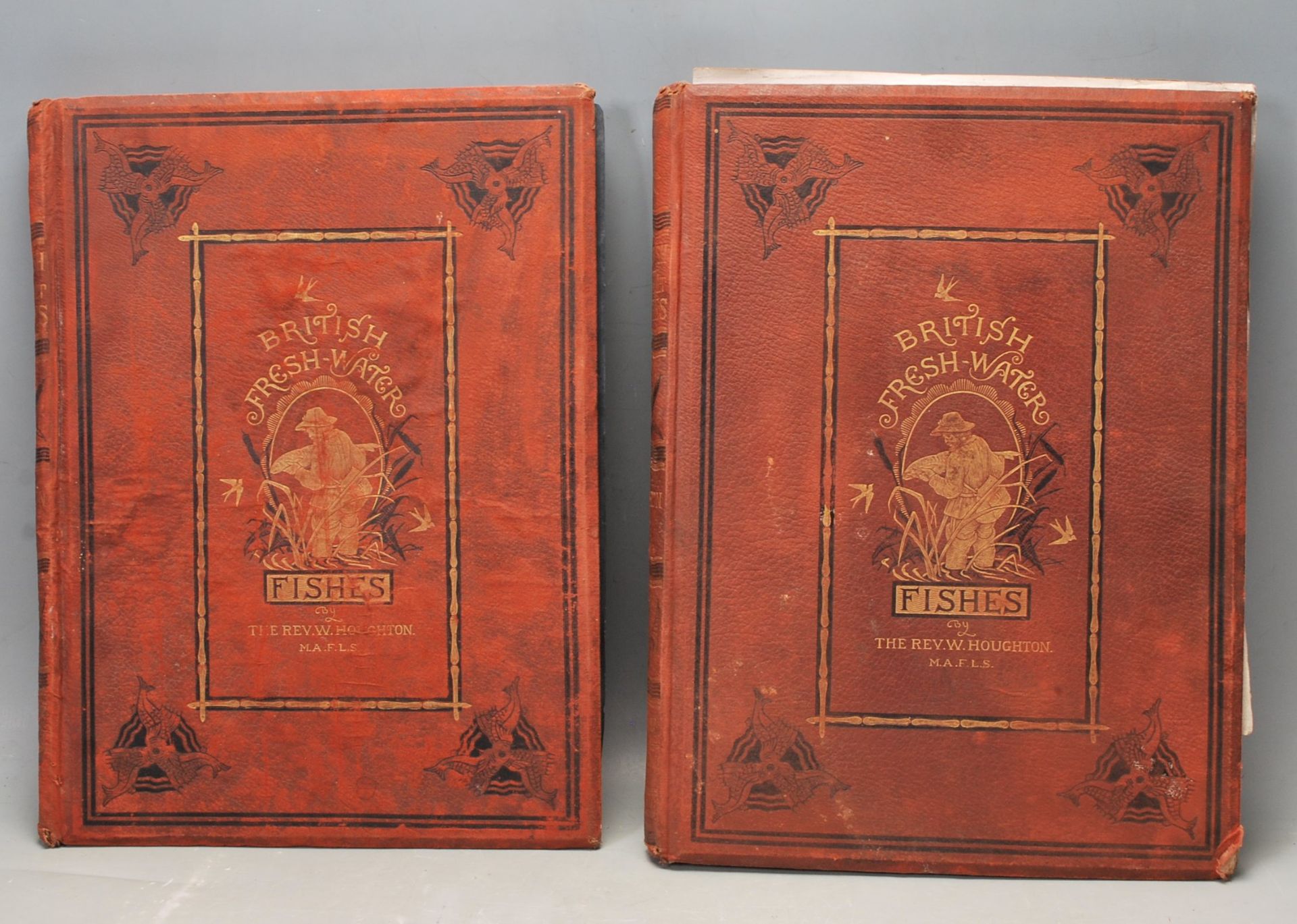 VICTORIAN 19TH CENTURY REFERENCE BOOK BY REV HOUGHTON