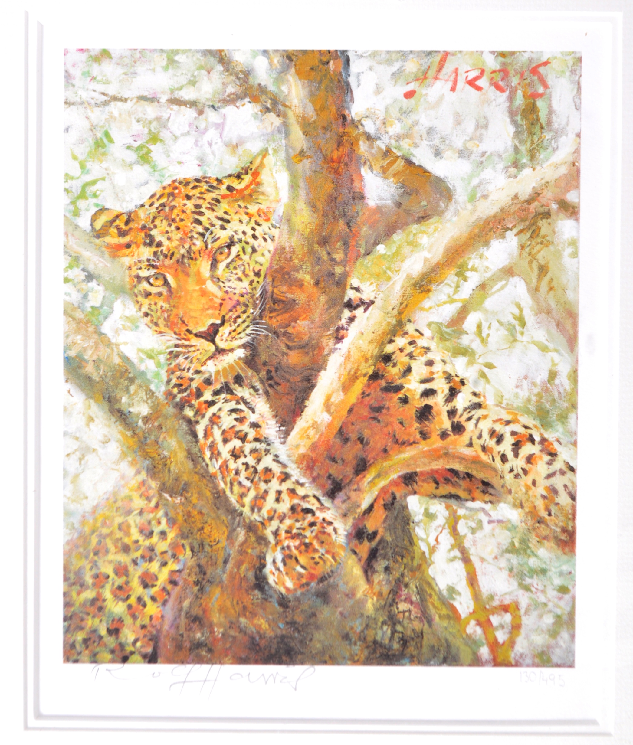 ROLF HARRIS - WORLD OF WILDLIFE SIGNED PRINT AND BOOKS - Image 3 of 8