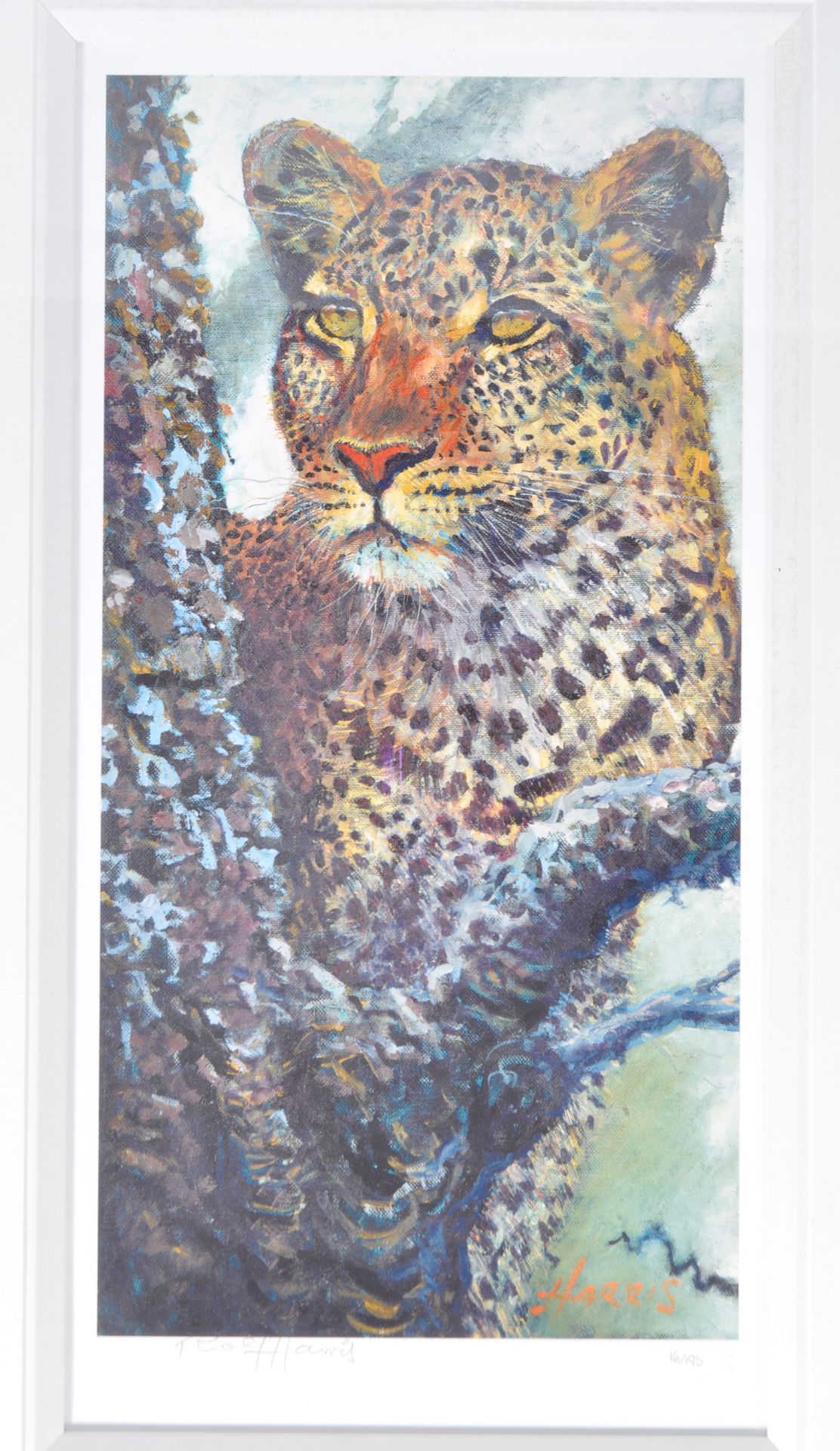 ROLF HARRIS - ALERT FOR PREY - SIGNED LIMITED EDITION PRINT - Image 2 of 8