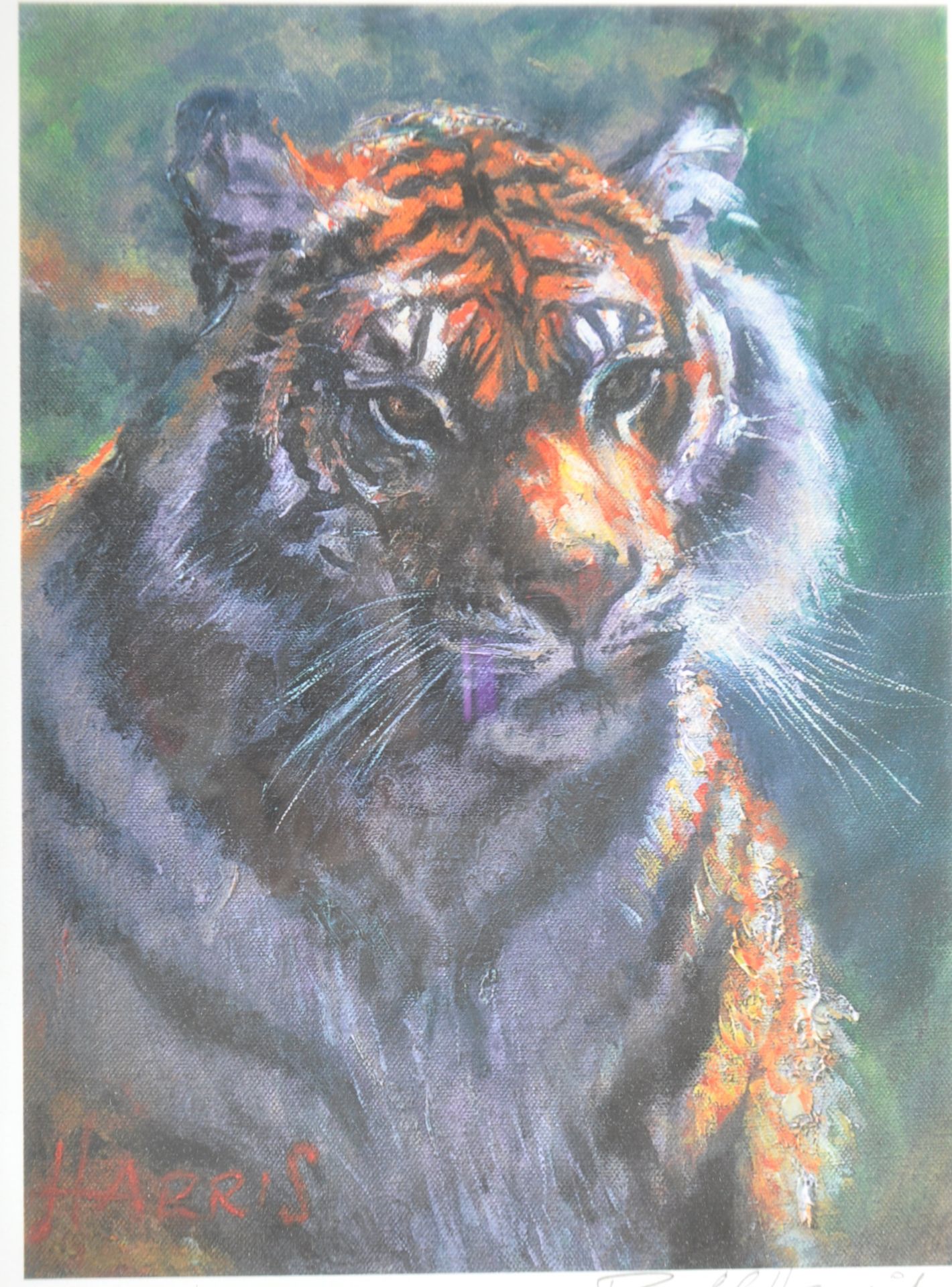 ROLF HARRIS - TIGER IN THE SUN - SIGNED LIMITED EDITION PRINT - Image 2 of 7