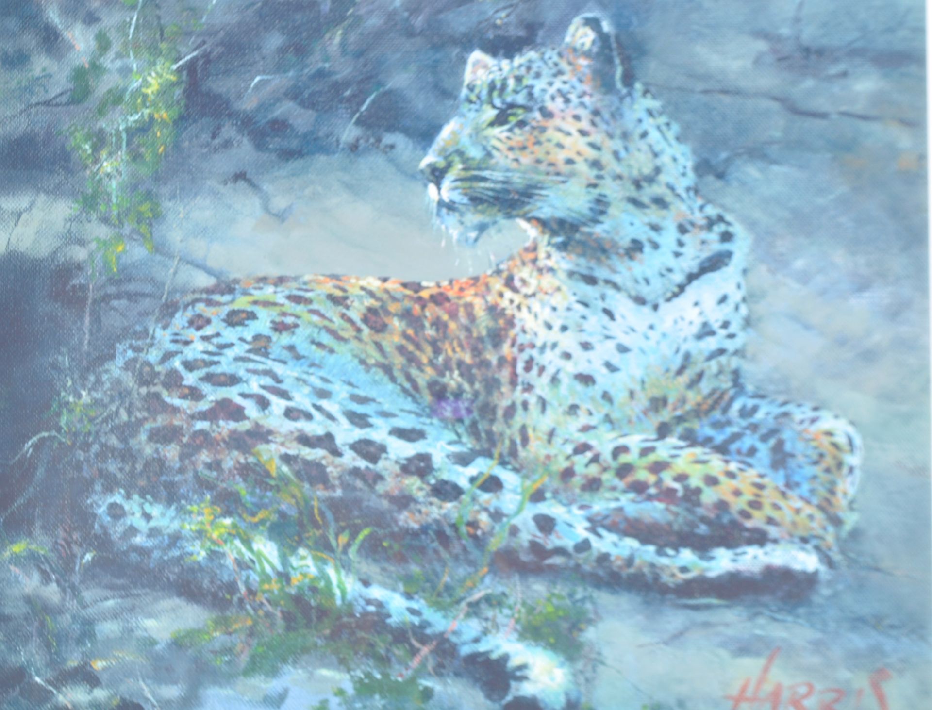 ROLF HARRIS - LEOPARD RECLINING AT DUSK - SIGNED PRINT - Image 2 of 10