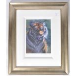 ROLF HARRIS - TIGER IN THE SUN - SIGNED LIMITED EDITION PRINT