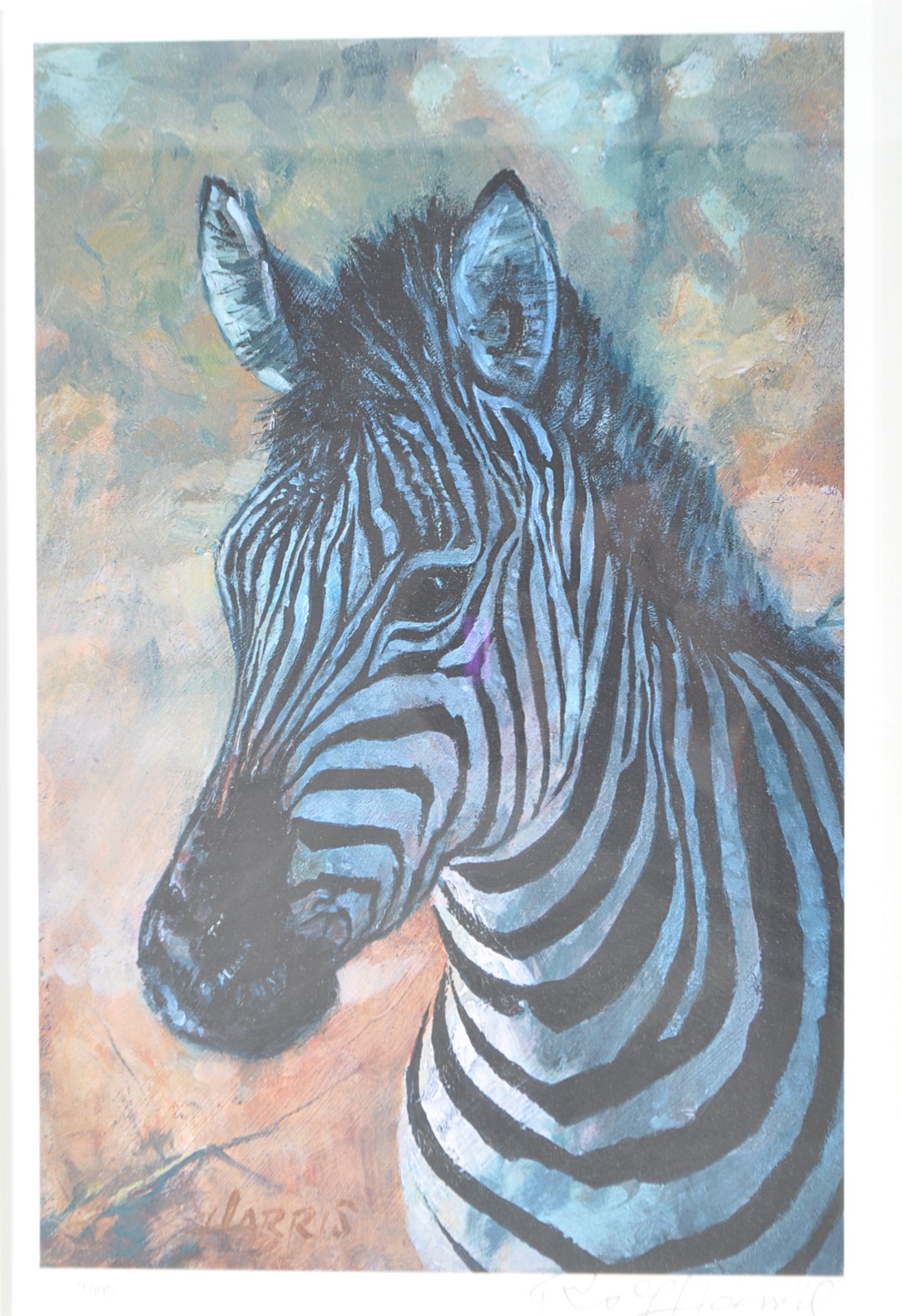 ROLF HARRIS - YOUNG ZEBRA - LIMITED EDITION SIGNED PRINT - Image 3 of 8