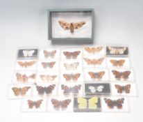 COLLECTION OF 25 VINTAGE BUTTERFLIES