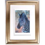 ROLF HARRIS - YOUNG ZEBRA - LIMITED EDITION SIGNED PRINT