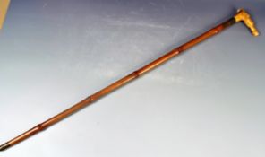 19TH CENTURY WALKING STICK CANE / HORSE MEASURING STICK