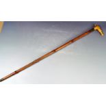 19TH CENTURY WALKING STICK CANE / HORSE MEASURING STICK