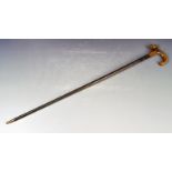 19TH CENTURY VICTORIAN SPECIMEN WOOD WALKING STICK CANE