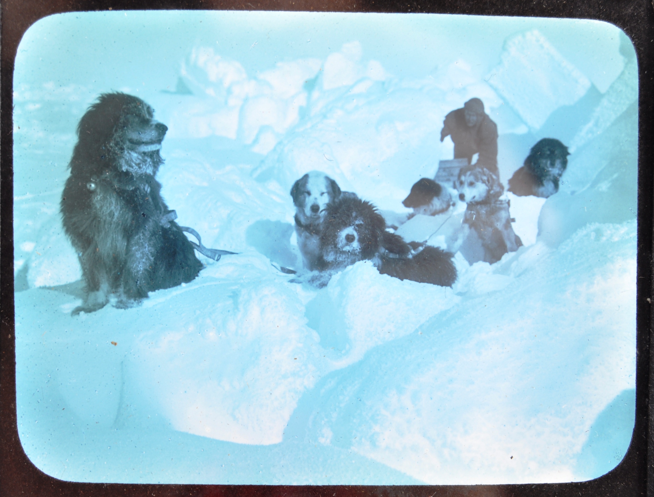 EXPLORATION - UNUSUAL SET OF DOG SLED POLAR MAGIC LANTERN SLIDES - Image 9 of 11