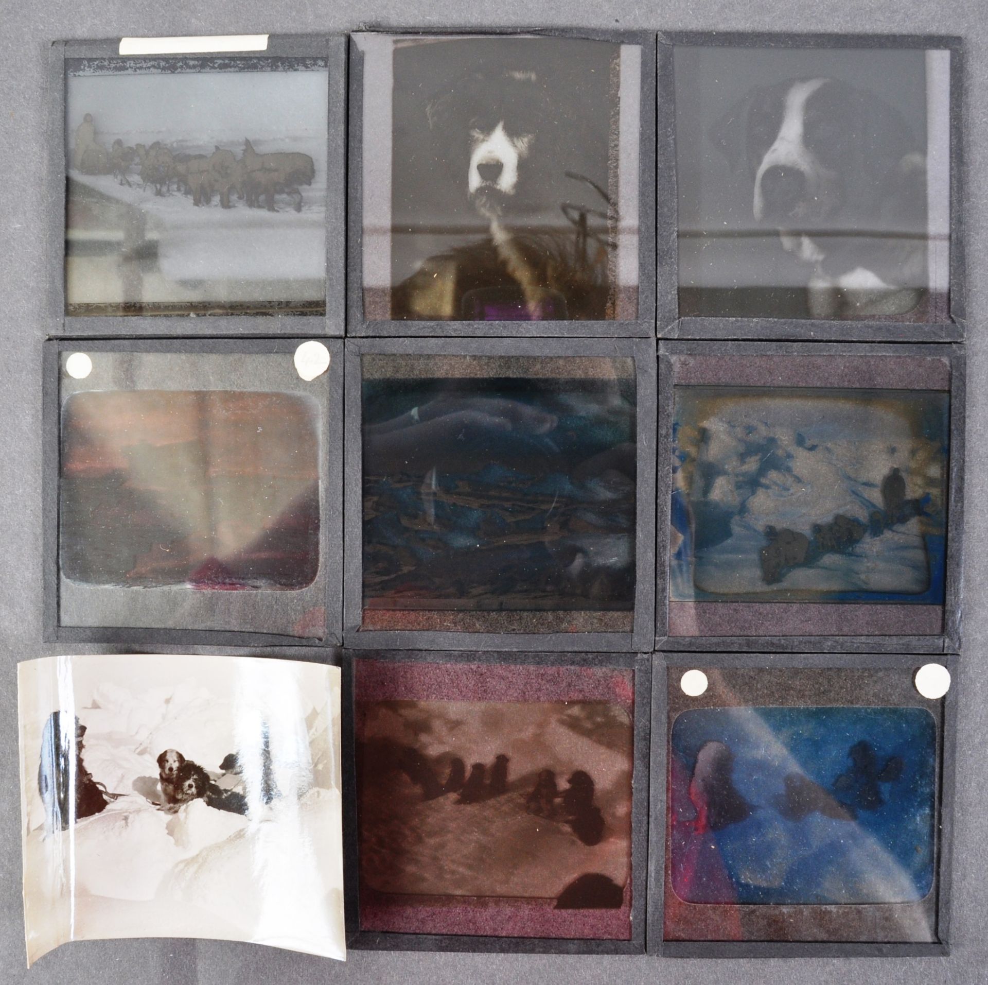 EXPLORATION - UNUSUAL SET OF DOG SLED POLAR MAGIC LANTERN SLIDES