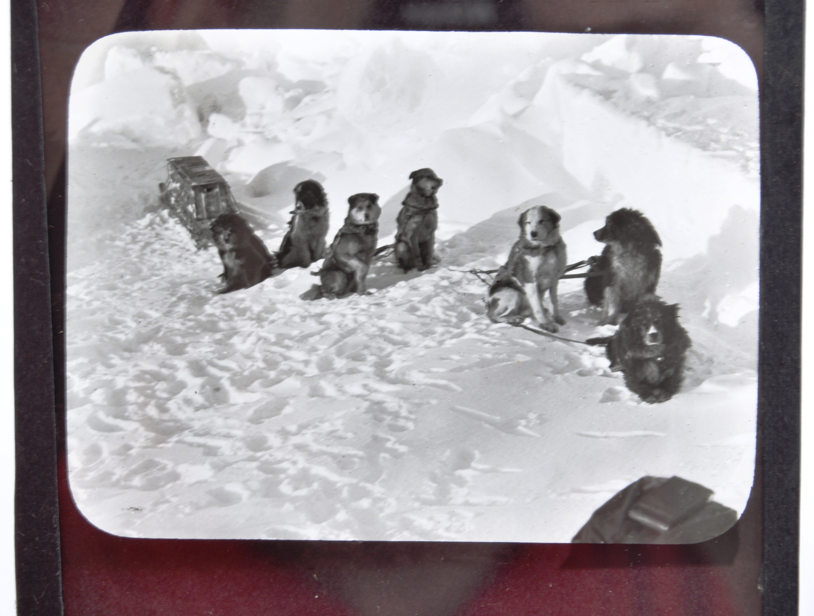 EXPLORATION - UNUSUAL SET OF DOG SLED POLAR MAGIC LANTERN SLIDES - Image 6 of 11