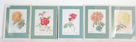 COLLECTION OF FIVE WATERCOLOUR BOTANICAL PAINTINGS BY DORA MILLS