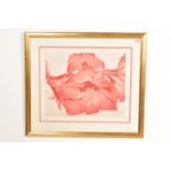 WILL WONG LATE 20TH CENTURY ARTIST PROOF ENETILED 'AMARYLLIS'