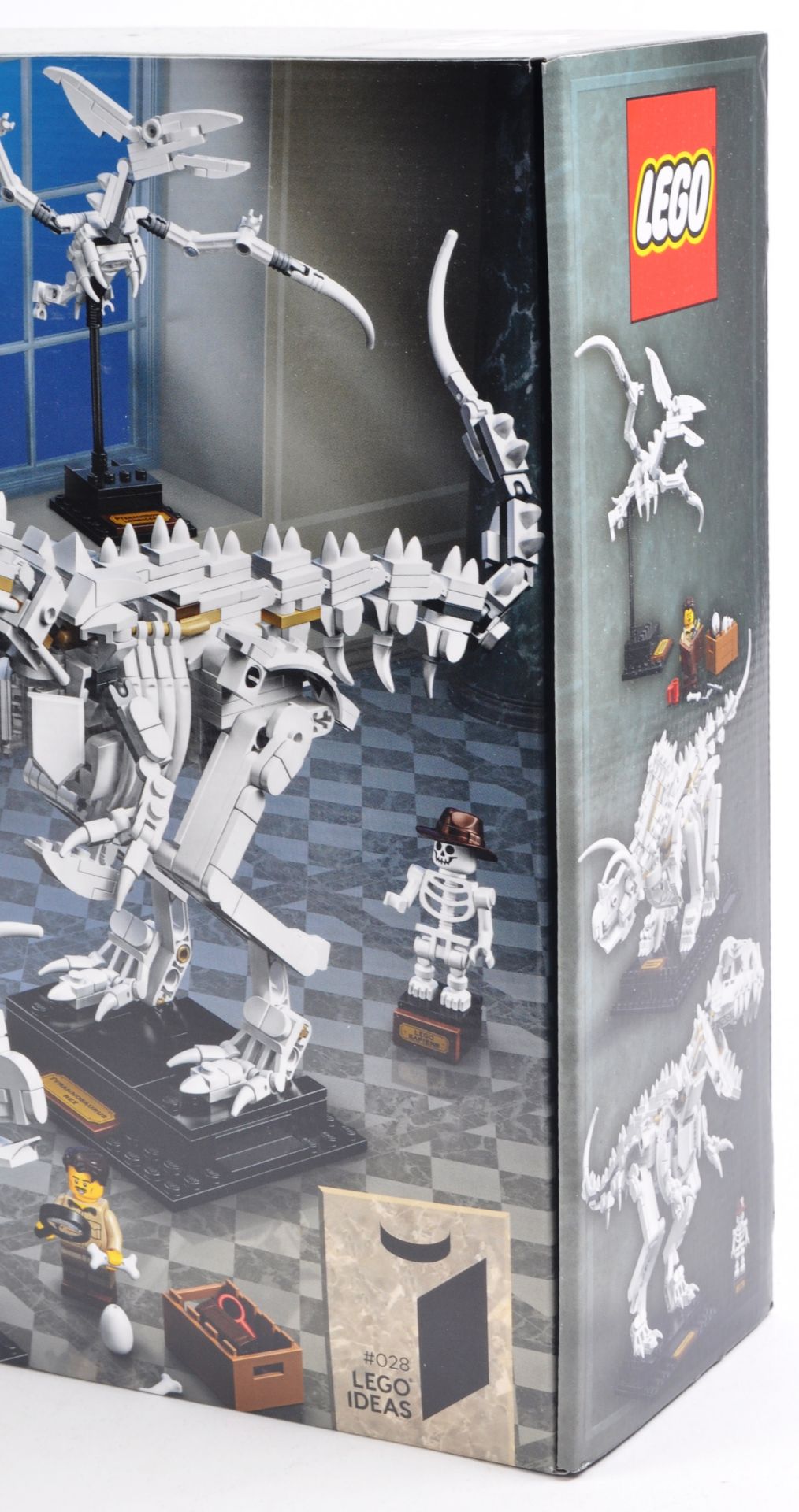 LEGO SET - LEGO IDEAS - 21320 - DINOSAUR FOSSILS - Image 4 of 4