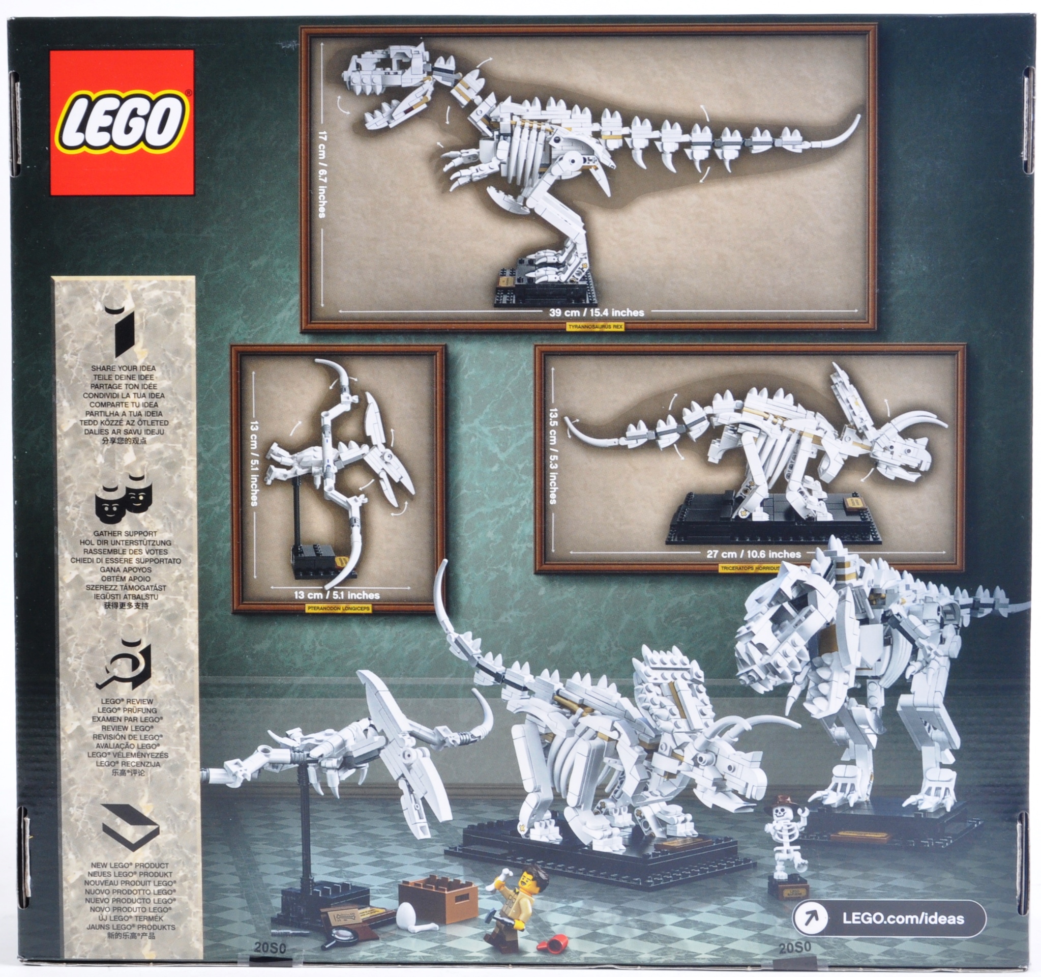 LEGO SET - LEGO IDEAS - 21320 - DINOSAUR FOSSILS - Image 2 of 4
