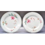 TWO 18TH CENTURY CHINESE ORIENTAL CERAMIC PORCELAIN PLATES