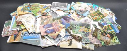 COLLECTION OF BIRD POSTCARDS