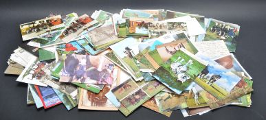 COLLECTION OF HORSE POSTCARDS