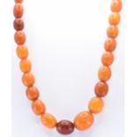 AMBER BEADED NECKLACE
