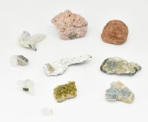 COLLECTION OF MINERAL & CRYSTAL SPECIMENS