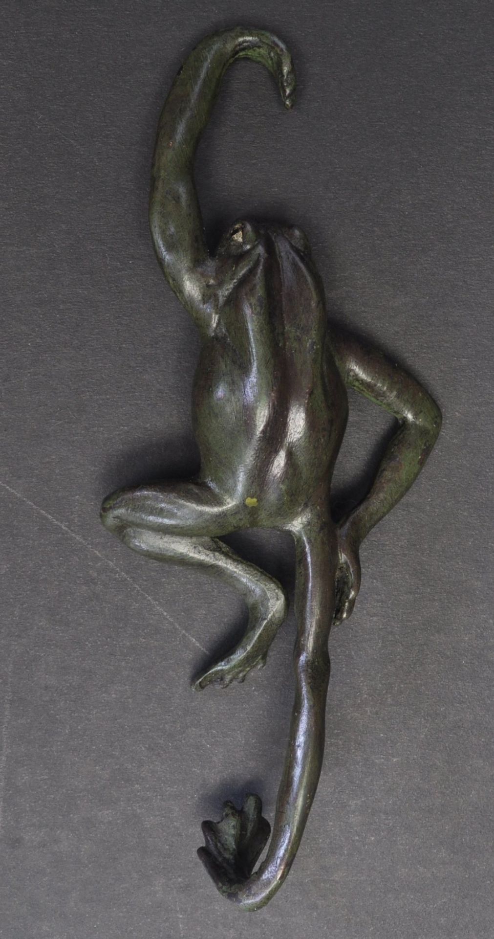 COLD PAINTED BRONZE FROG HOOK