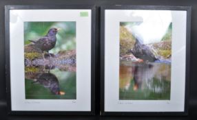 LIMITED EDITION COLOUR PRINTS OF BIRD SCENES