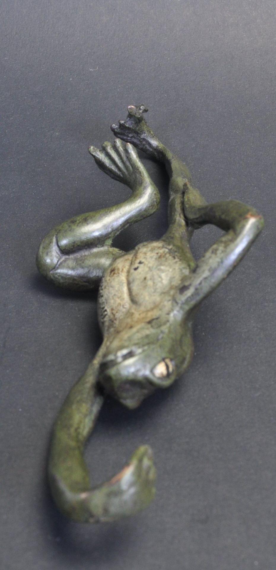 COLD PAINTED BRONZE FROG HOOK - Image 5 of 6