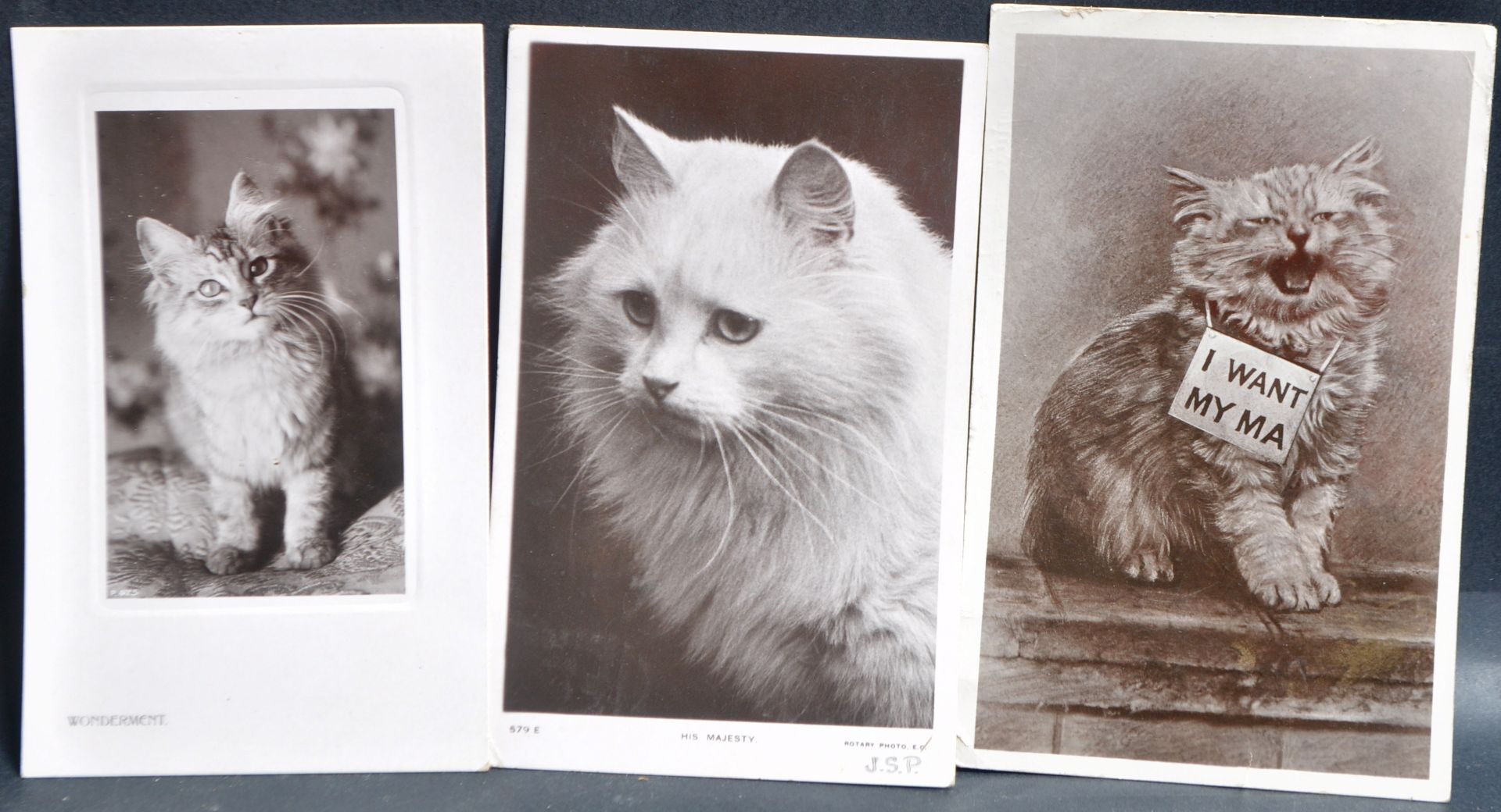 COLLECTION OF 20TH CENTURY CAT’S POSTCARDS - Bild 3 aus 6
