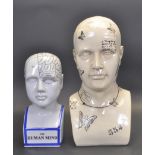 PAIR OF VINTAGE 20TH CENTURY PHRENOLOGY STYLE HEADS