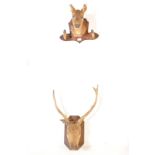 GROUP OF TWO TAXIDERMY DEAR / STAG TROPHY HEADS