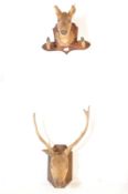 GROUP OF TWO TAXIDERMY DEAR / STAG TROPHY HEADS