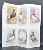 COLLECTION OF EARLY 20TH CENTURY FEATHERED WORLD POSTCARDS