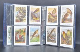 COLLECTION OF 20TH CENTURY NATURAL HISTORY BIRD POSTCARDS