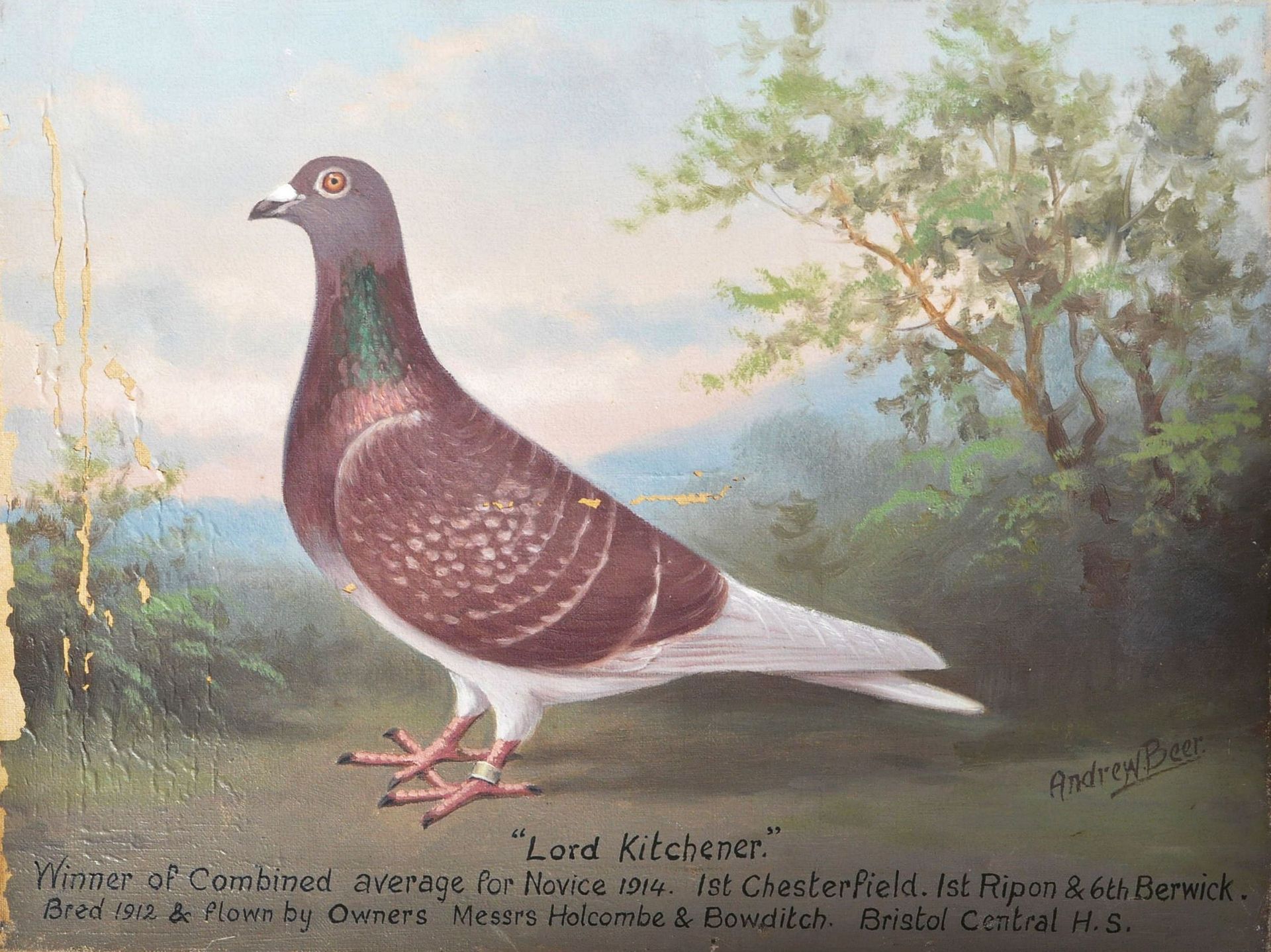 ANDREW BEER - LORD KITCHENER - OIL ON CANVAS RACING PIGEON PAINTING