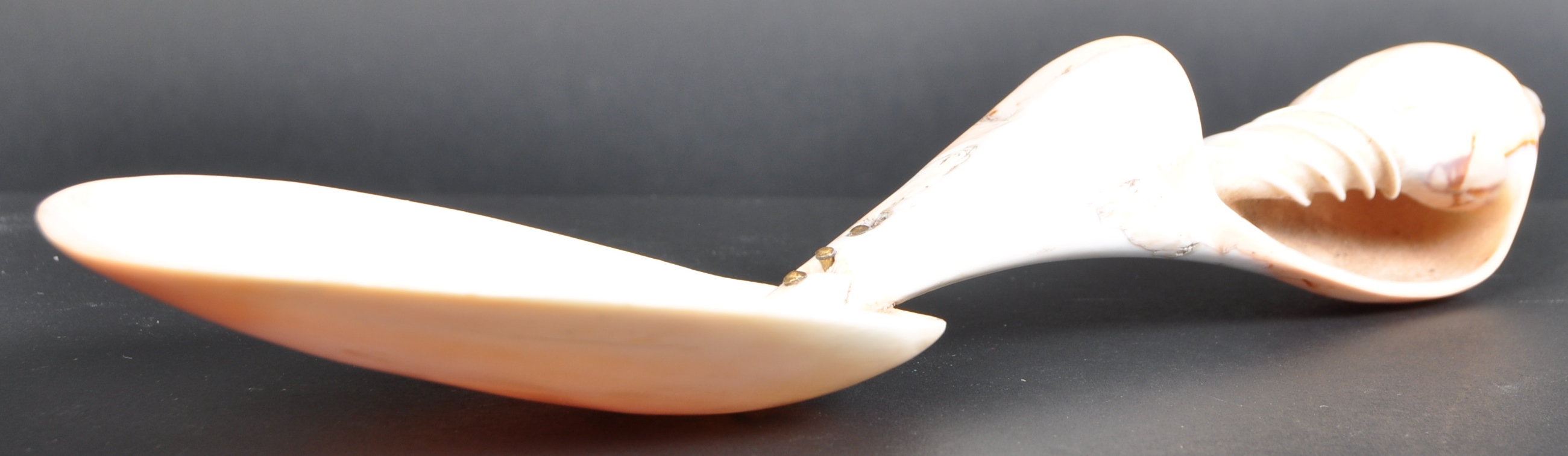 18TH CENTURY NAUTICAL MARITIME CARVED SHELL SPOON - Image 3 of 11
