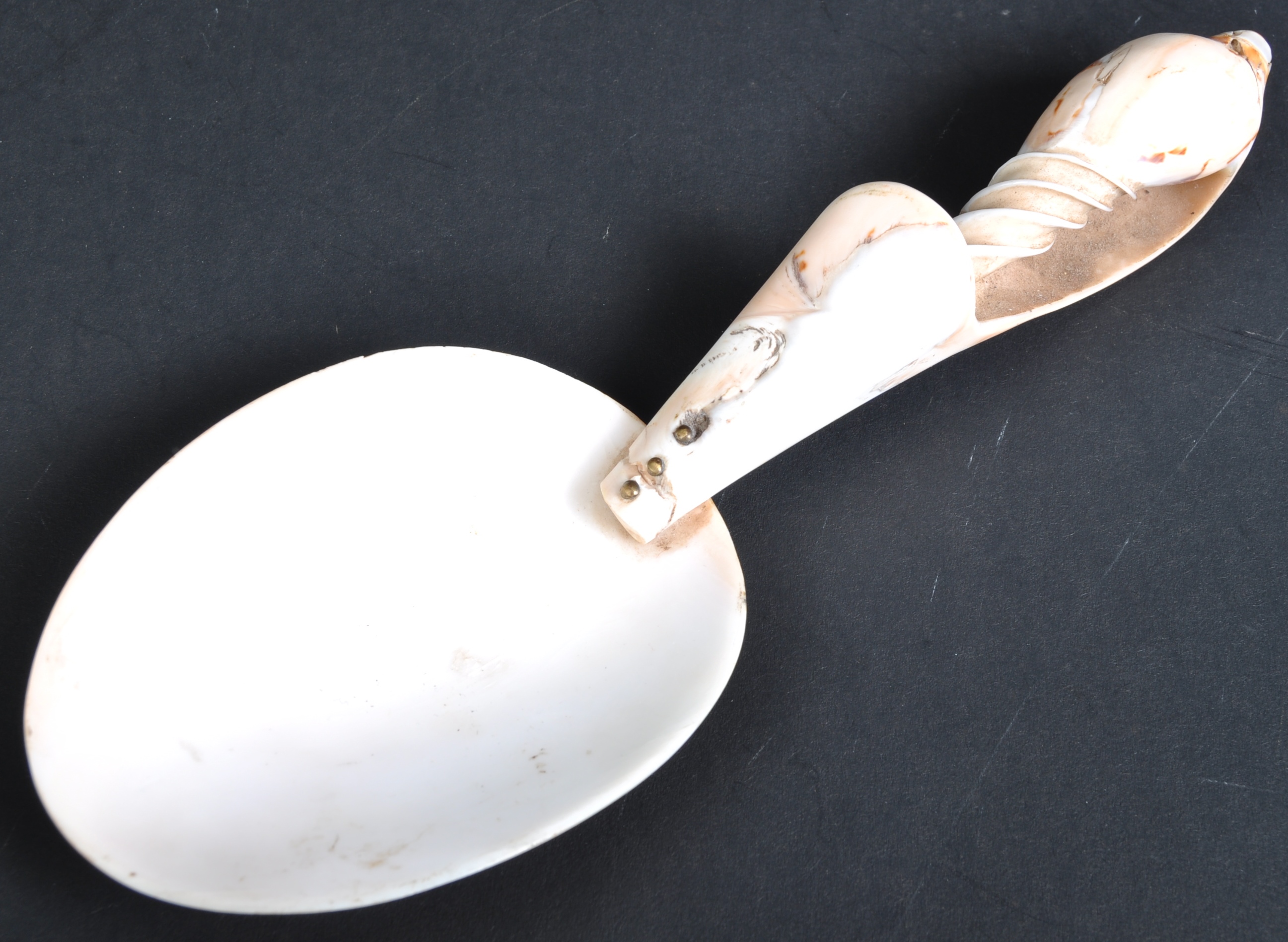 18TH CENTURY NAUTICAL MARITIME CARVED SHELL SPOON - Image 8 of 11