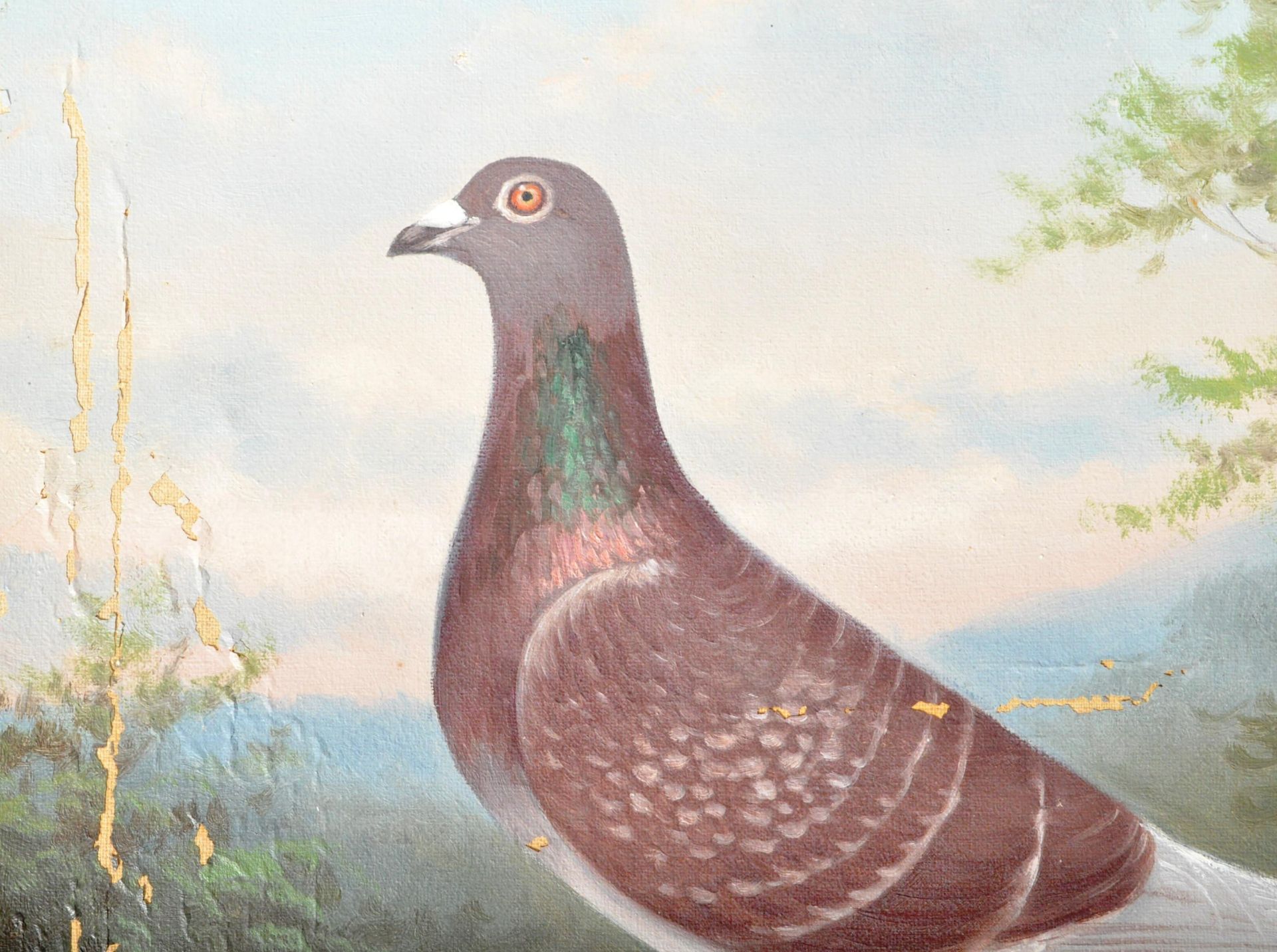 ANDREW BEER - LORD KITCHENER - OIL ON CANVAS RACING PIGEON PAINTING - Image 3 of 11