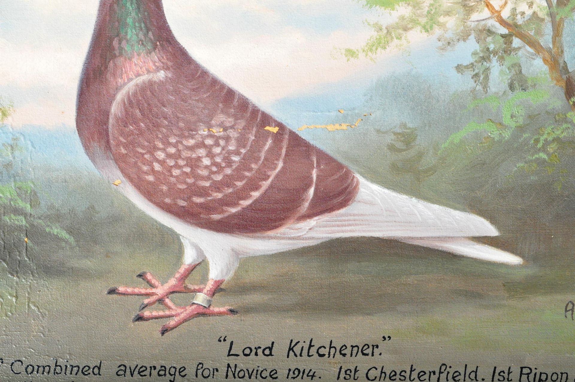 ANDREW BEER - LORD KITCHENER - OIL ON CANVAS RACING PIGEON PAINTING - Image 4 of 11