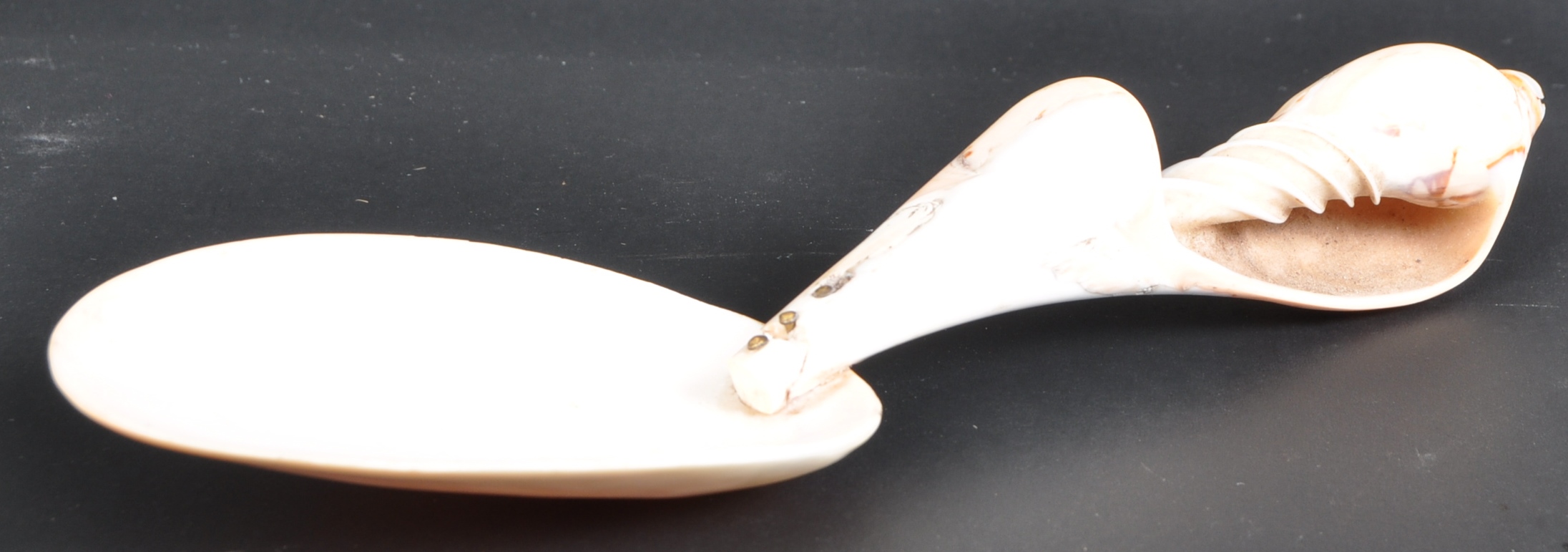 18TH CENTURY NAUTICAL MARITIME CARVED SHELL SPOON - Image 5 of 11