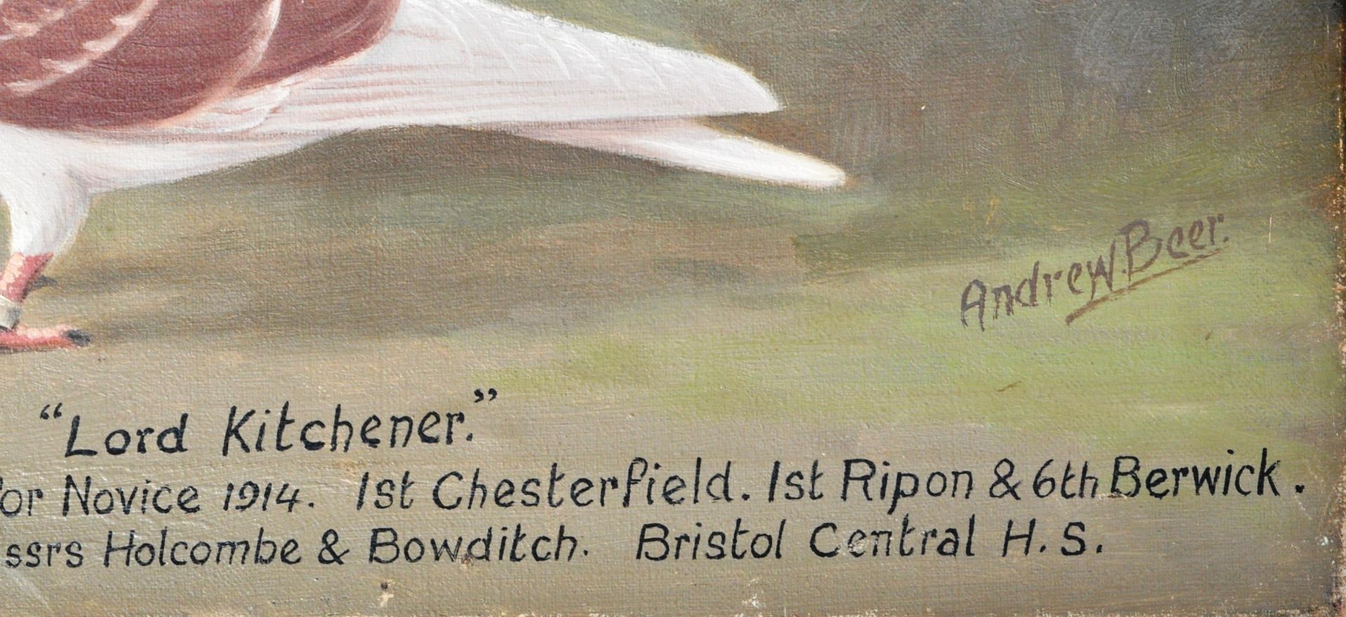 ANDREW BEER - LORD KITCHENER - OIL ON CANVAS RACING PIGEON PAINTING - Image 9 of 11