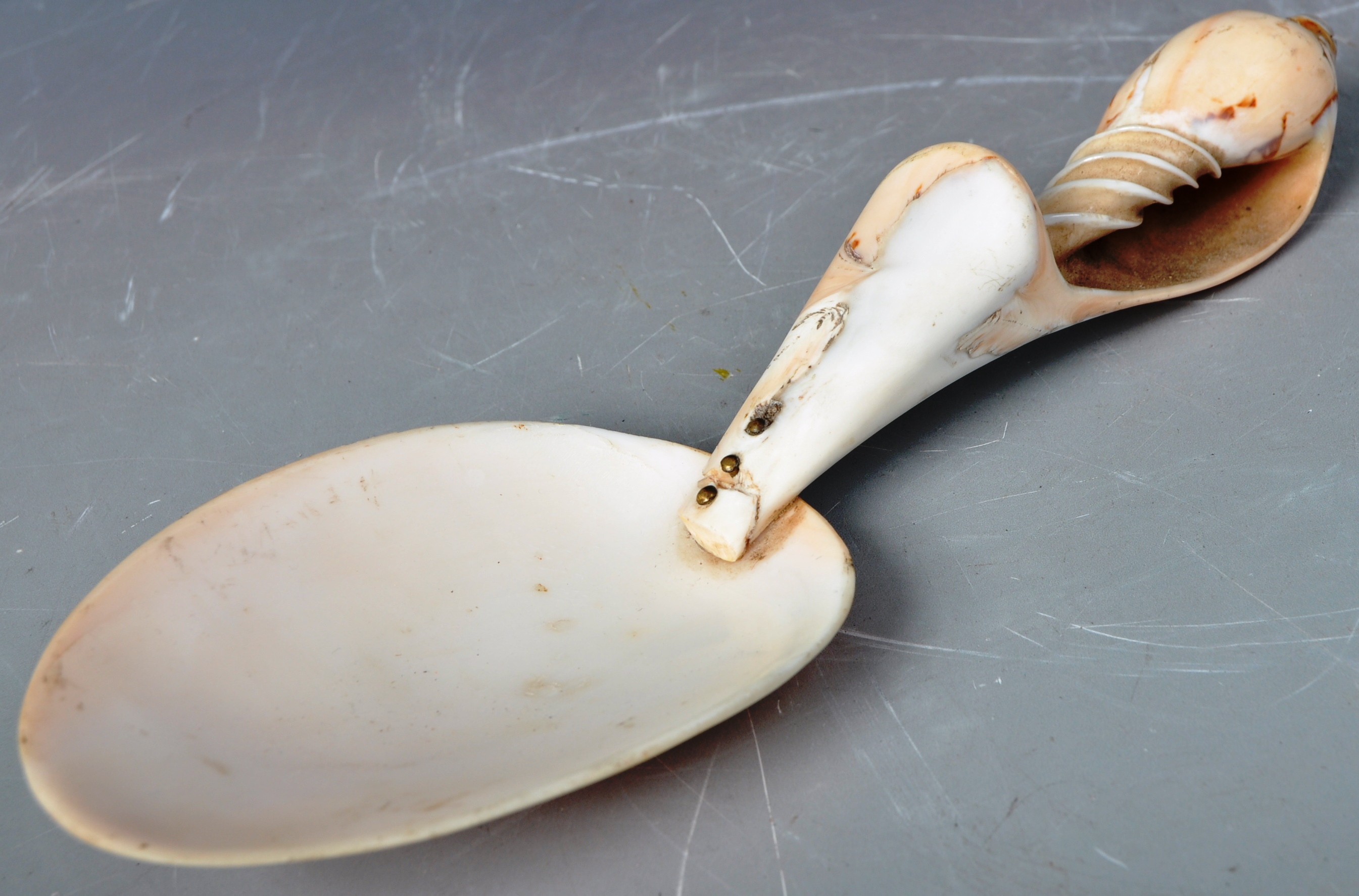 18TH CENTURY NAUTICAL MARITIME CARVED SHELL SPOON