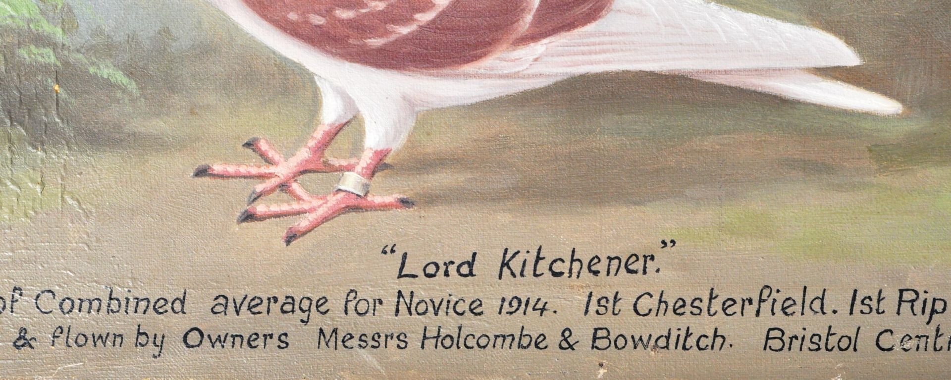 ANDREW BEER - LORD KITCHENER - OIL ON CANVAS RACING PIGEON PAINTING - Image 8 of 11