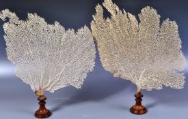 19TH CENTURY PAIR OF FAN CORAL SPECIMENS ON STANDS