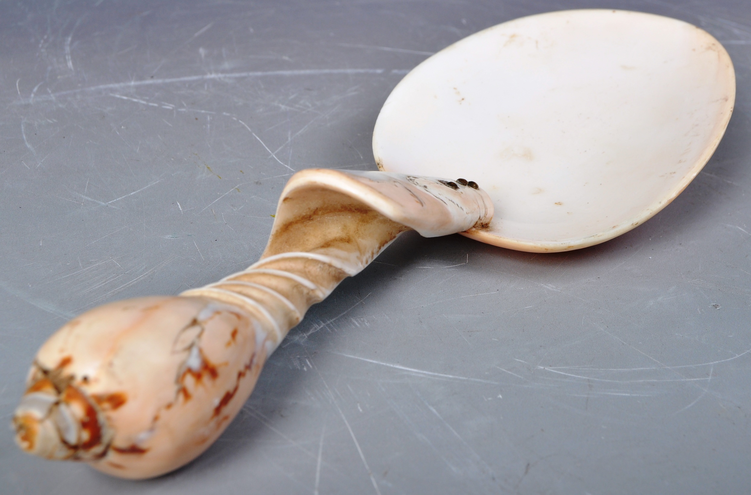 18TH CENTURY NAUTICAL MARITIME CARVED SHELL SPOON - Image 2 of 11